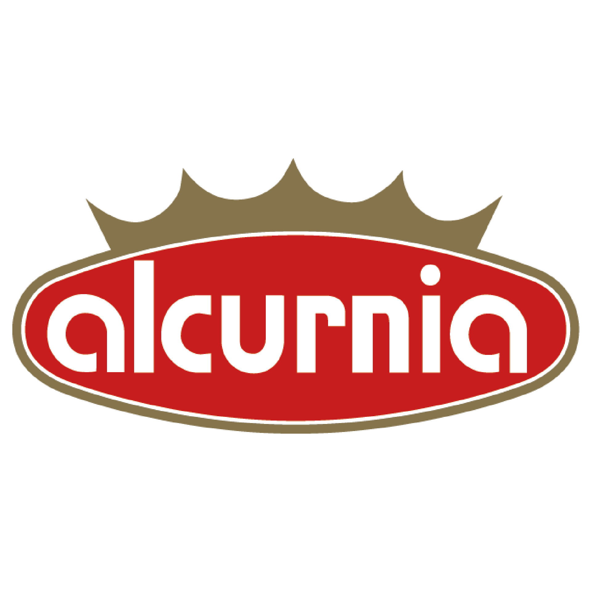 ALCURNIA 皇家牌水蜜桃罐頭（糖漬黃桃）