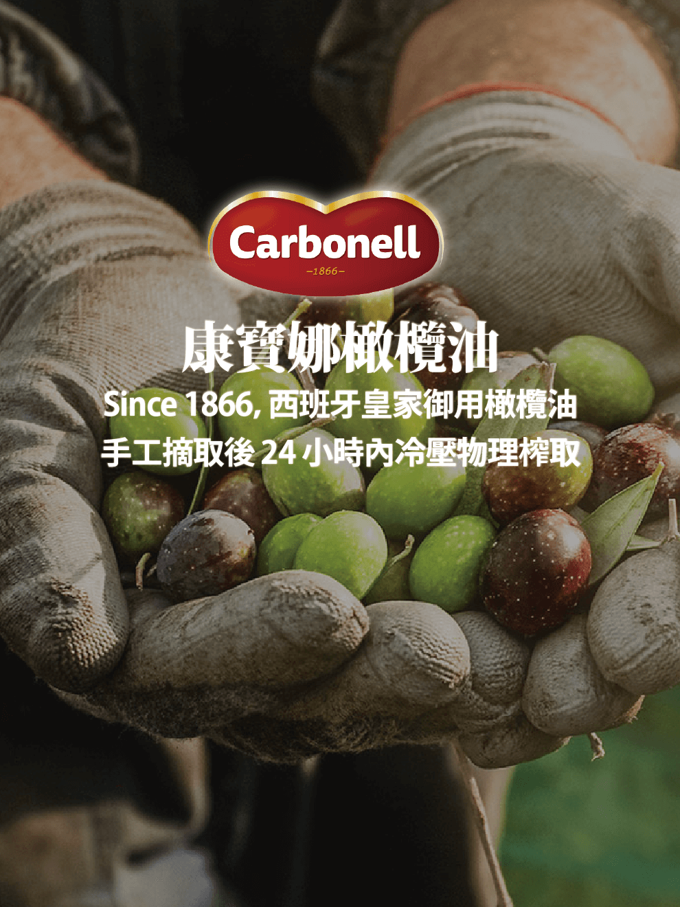 【西班牙】Carbonell 康寶娜橄欖油，Since 1866，西班牙皇家御用橄欖油，手工摘取後 24 小時內冷壓物理榨取