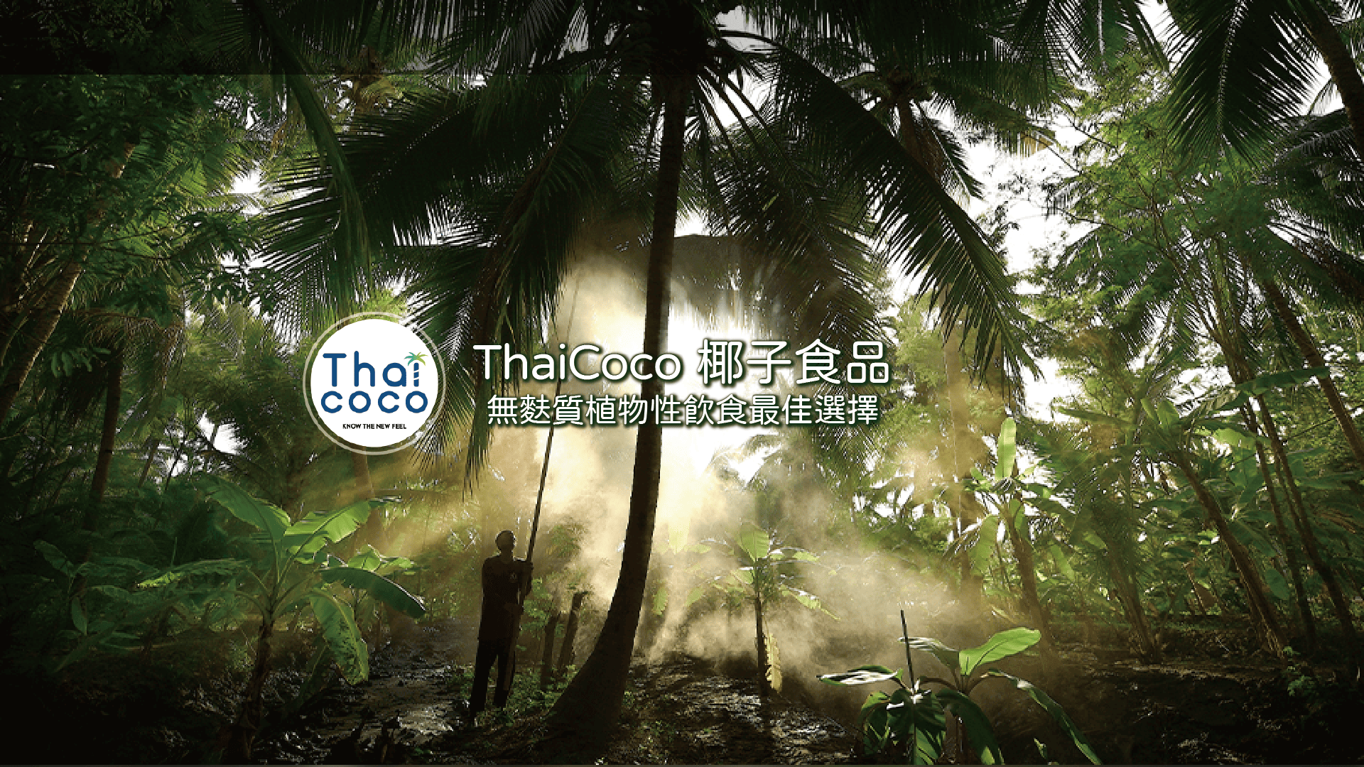 【泰國】泰國最大椰子食品品牌—ThaiCoco，無麩質飲食、植物性飲食、蛋白質飲食的最佳選擇