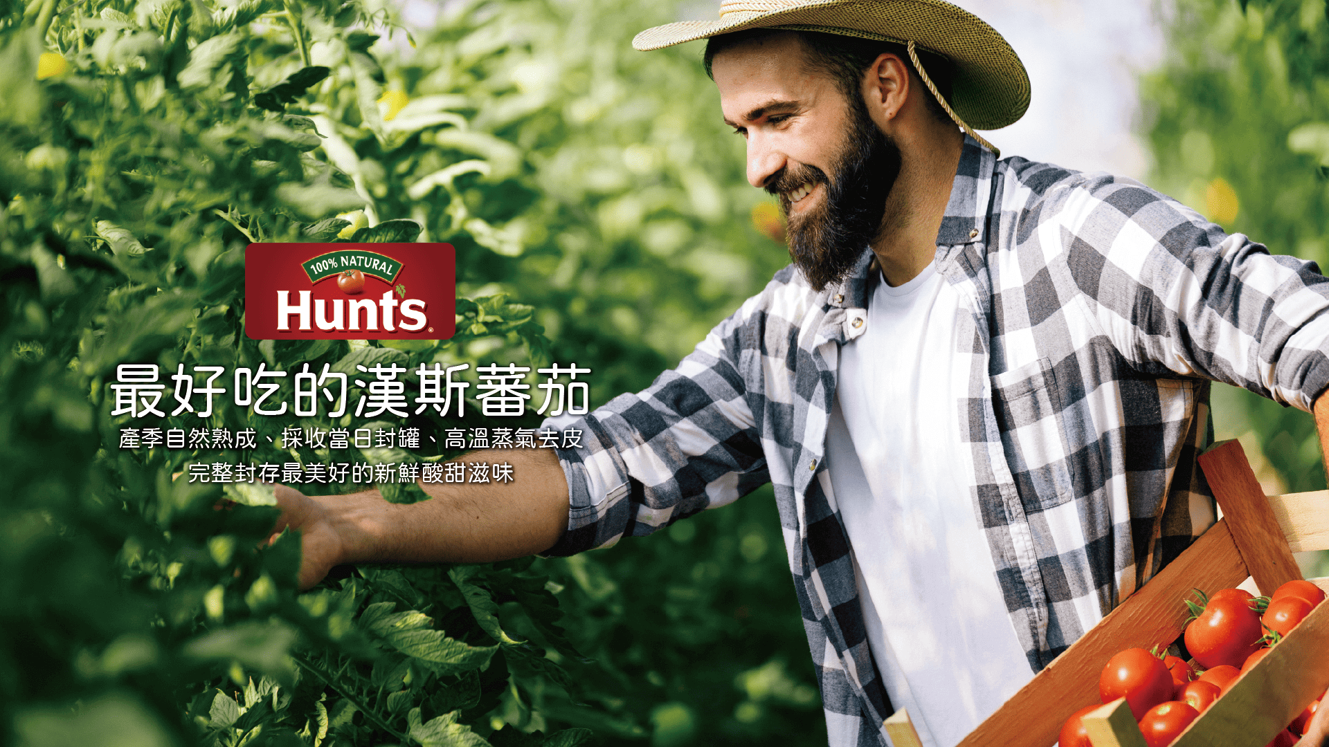 【美國】Hunt's 漢斯蕃茄製品，產季自然熟成、採收當日封罐、高溫蒸氣去皮，完整封存新鮮酸甜